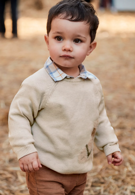 Horse sweater for children at folia in south dartmouth, ma